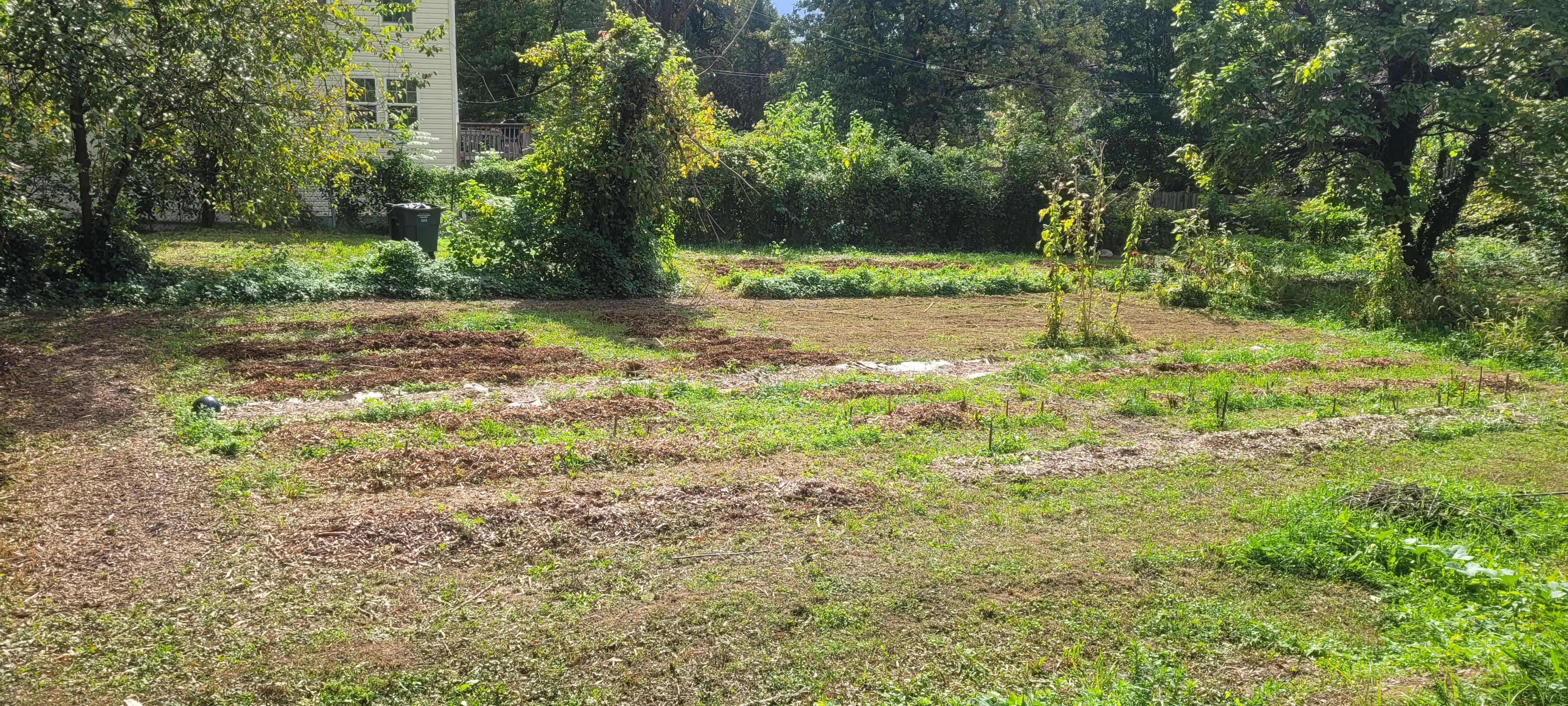 October 2023 — fall garden beds still producing