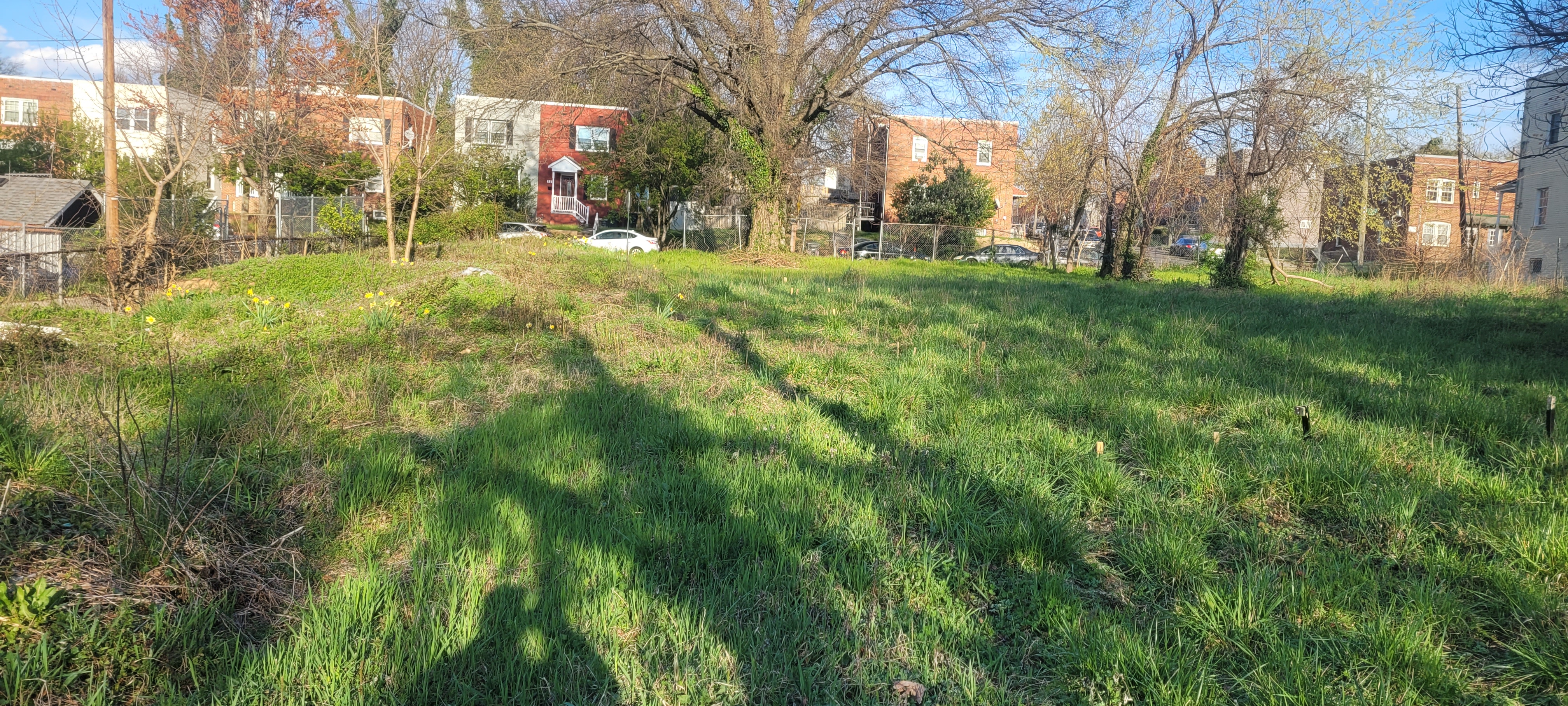 Empty vacant lot in Ward 7 — before Sennel Gardens