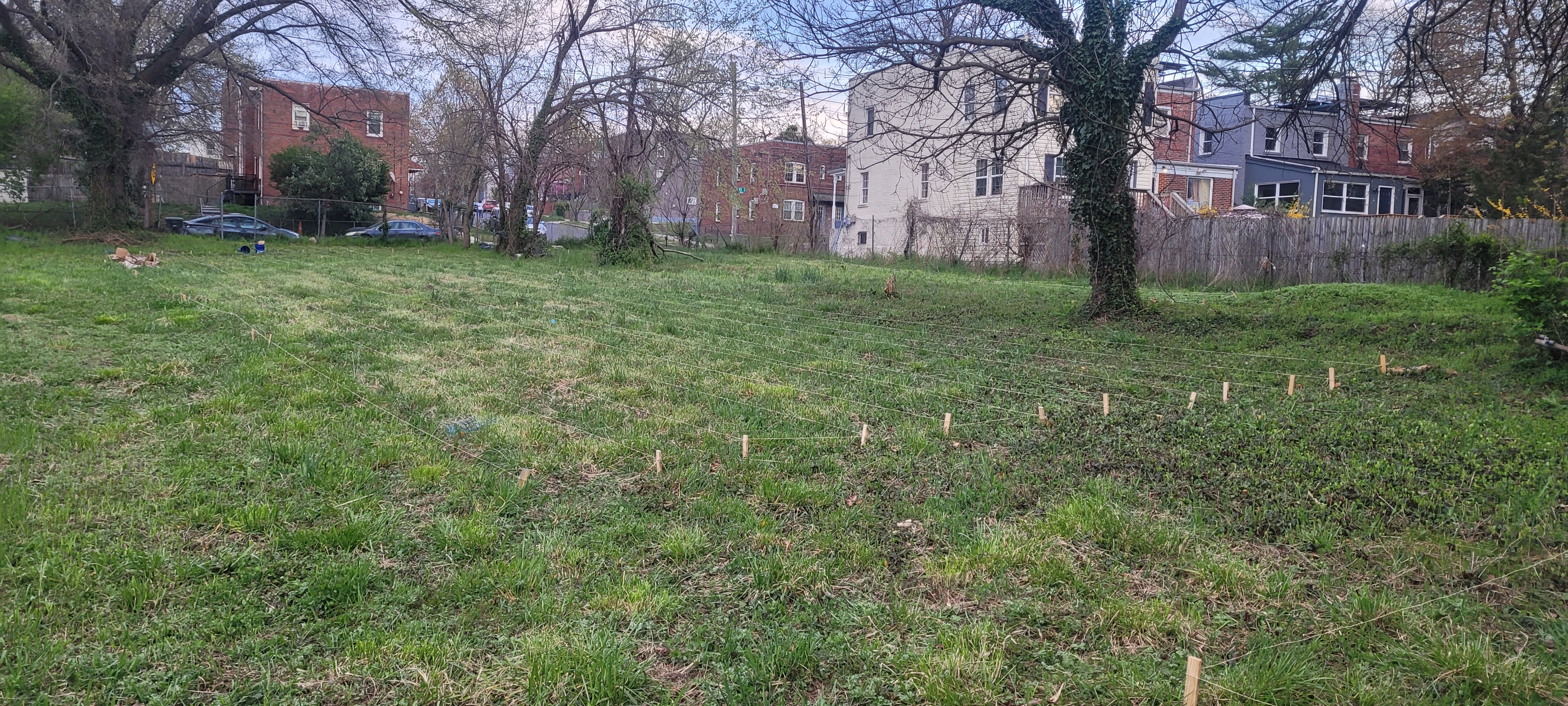 April 2023 — stakes marking future garden rows