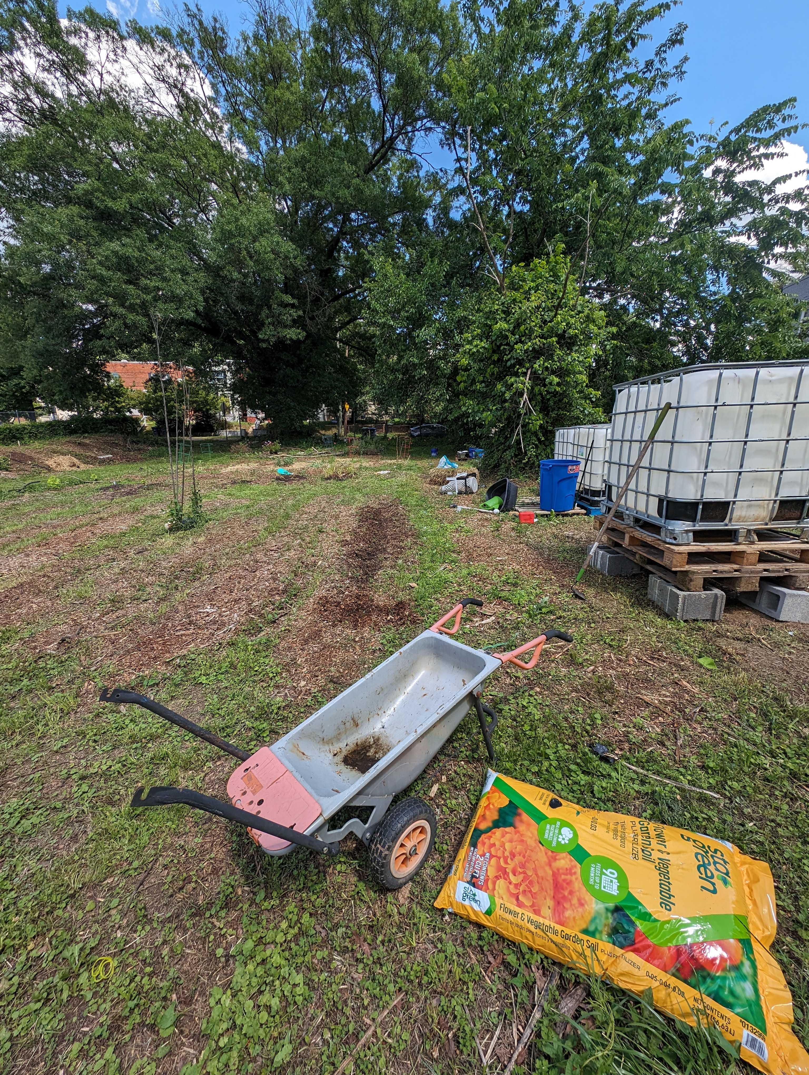 May 2024 — wheelbarrow, soil, and IBC water tanks