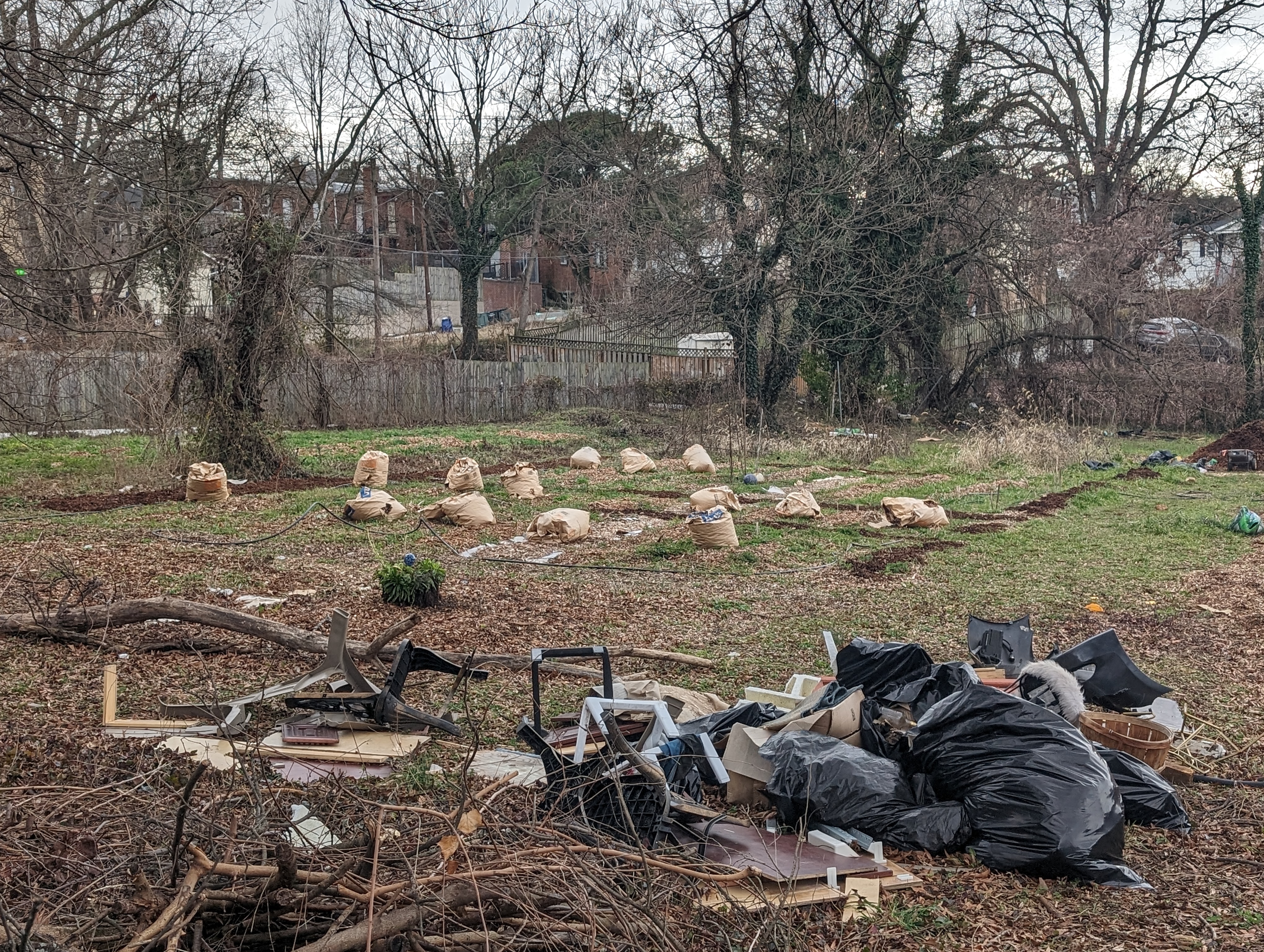 January 2024 — Sennel Gardens clearing debris from the lot