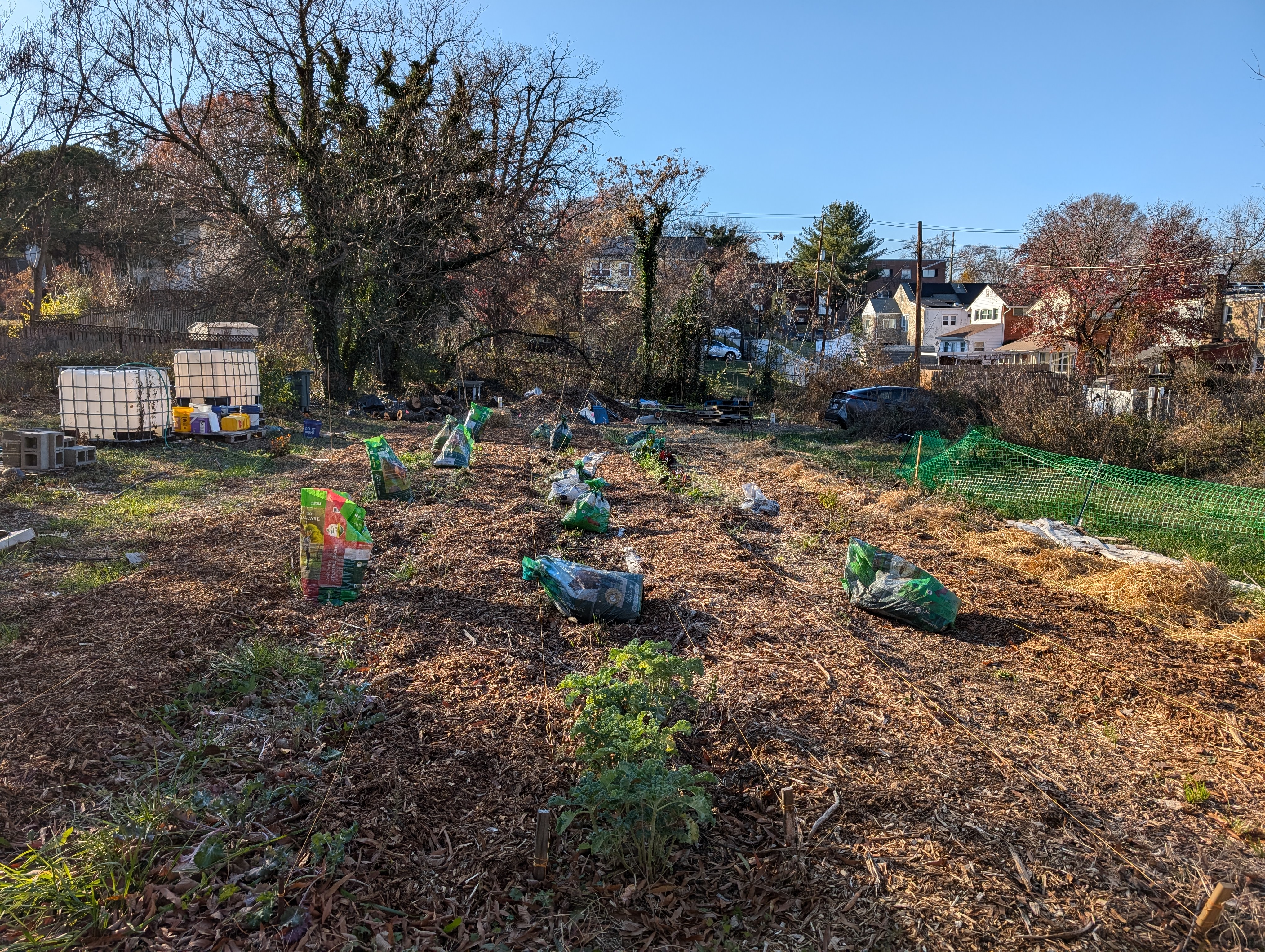 December 2024 — overwintering with mulch and grow bags