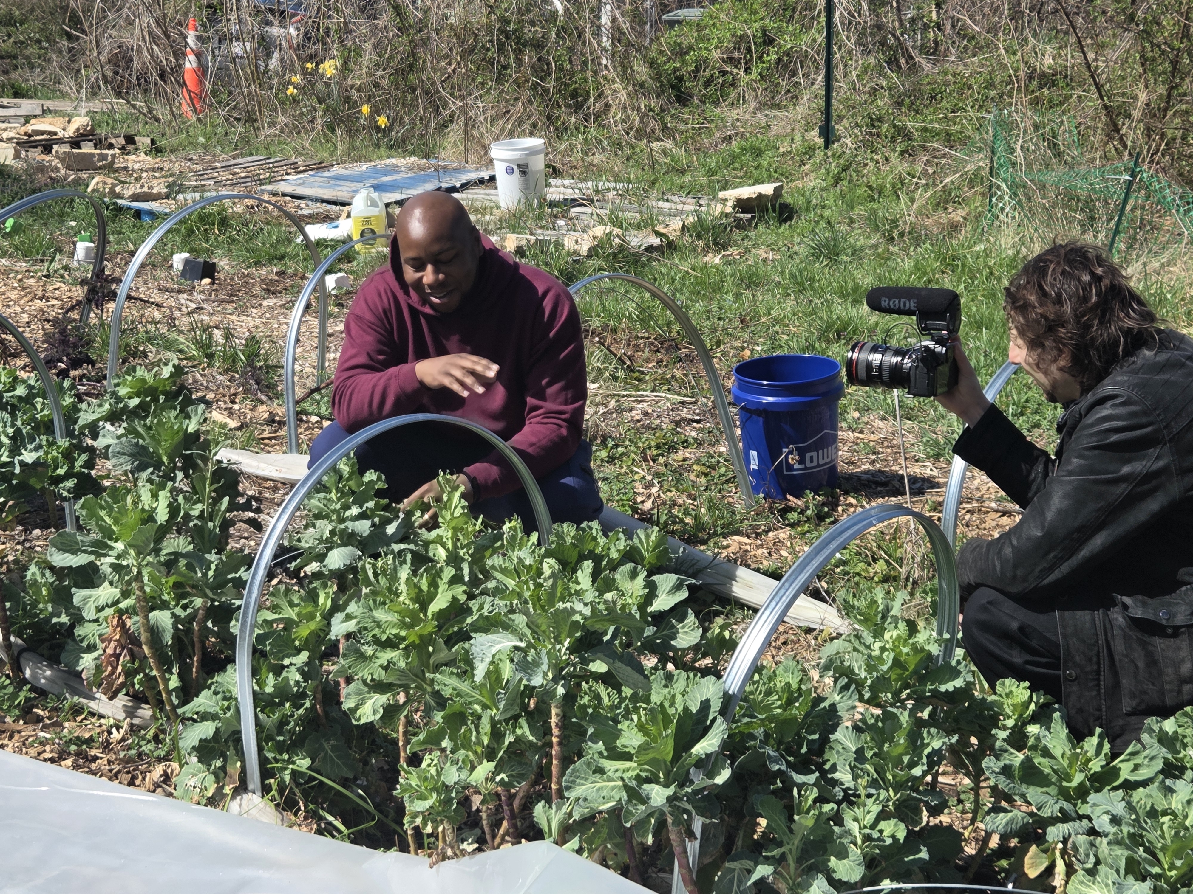 Manny working in a hoop house while being filmed